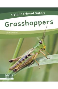Coperta cărții 'Grasshoppers - Dalton Rains'