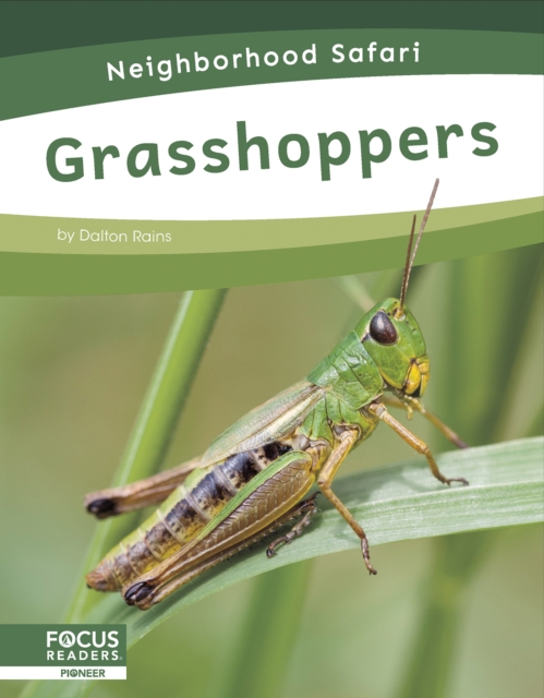 Grasshoppers - Dalton Rains