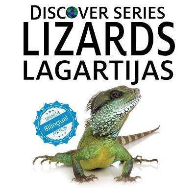 Lizards / Lagartijas - 