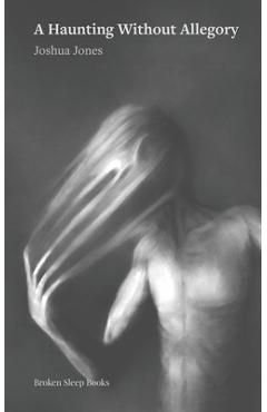 Coperta cărții 'A Haunting Without Allegory - Joshua Jones'