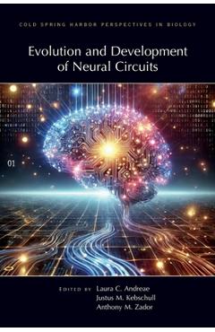 Poza produsului Evolution & Development of Neural Circuits - Laura Andreae