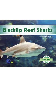Blacktip Reef Sharks - Grace Hansen
