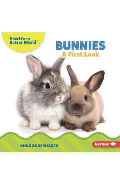Coperta cărții 'Bunnies: A First Look - Anna Anderhagen'