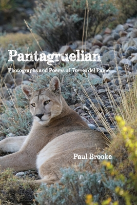 Pantagruelian: Photographs and Poems of Torres del Paine -