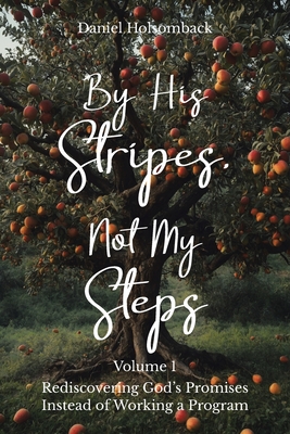 By His Stripes, Not My Steps: Rediscovering God's Promises Instead of Working a Program - Daniel Holsomback