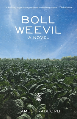 Coperta cărții 'Boll Weevil - James Radford'