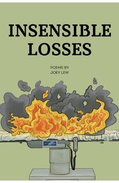 Coperta cărții 'Insensible Losses - Joey Lew'