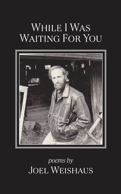 Coperta cărții 'While I Was Waiting for You - Joel Weishaus'