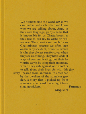 Fernando Maquieira: A Tiny Story - Fernando Maquieria