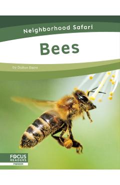 Coperta cărții 'Bees - Dalton Rains'