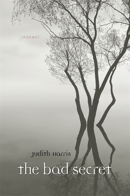 Coperta cărții 'Bad Secret: Poems - Judith Harris'