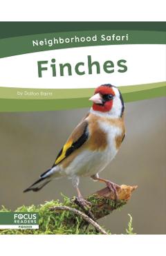 Coperta cărții 'Finches - Dalton Rains'