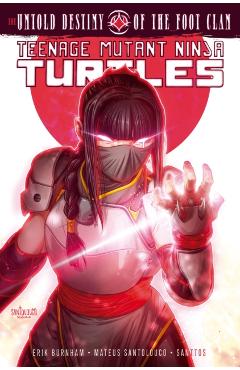 Coperta cărții 'Teenage Mutant Ninja Turtles: The Untold Destiny of the Foot Clan - Erik Burnham'