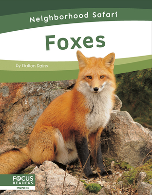 Foxes - Dalton Rains