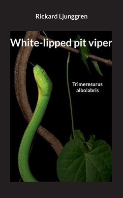 White-lipped pit viper: Trimeresurus albolabris - Rickard Ljunggren