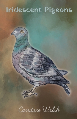 Iridescent Pigeons - Candace Walsh
