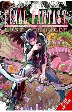 Coperta cărții 'Final Fantasy Lost Stranger, Vol. 11 - Hazuki Minase'