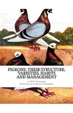Coperta cărții 'Pigeons: Their Structure, Varieties, Habits and Management: Pigeon Classics Book 12 - Jackson Chambers'