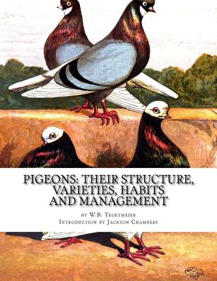 Coperta cărții 'Pigeons: Their Structure, Varieties, Habits and Management: Pigeon Classics Book 12 - Jackson Chambers'