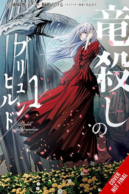 Brunhild the Dragonslayer, Vol. 1 (Manga) - Yuiko Agarizaki