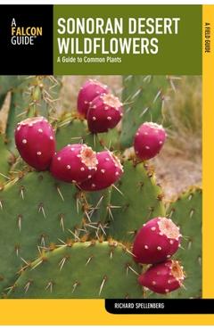 Coperta cărții 'Sonoran Desert Wildflowers: A Guide To Common Plants - Richard Spellenberg'