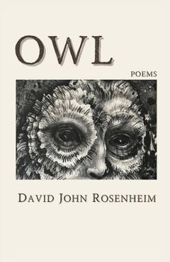 Coperta cărții 'Owl - David John Rosenheim'