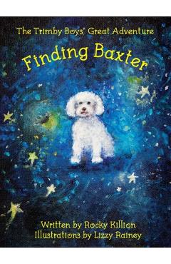 Coperta cărții 'The Trimby Boys' Great Adventure: Finding Baxter - Rocky Killion'