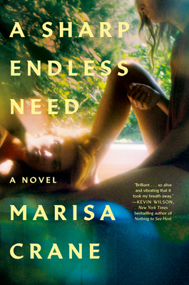 A Sharp Endless Need - Marisa Crane