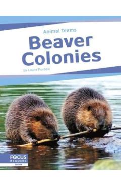Poza produsului Beaver Colonies - Laura Perdew