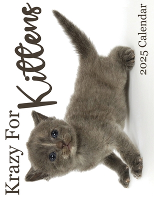 Krazy For Kittens 2025 Calendar: 2025 Calendar - B. Patrick