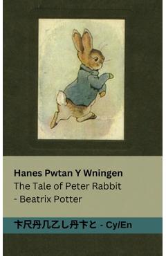 Coperta cărții 'Hanes Pwtan Y Wningen / The Tale of Peter Rabbit: Tranzlaty Cymraeg English - Beatrix Potter'
