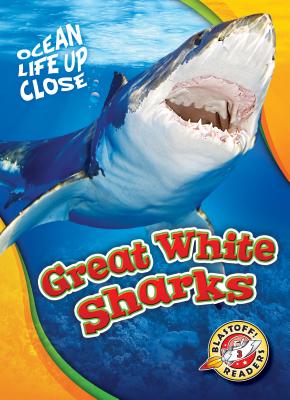 Great White Sharks - Rebecca Pettiford