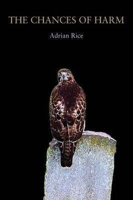 Coperta cărții 'The Chances of Harm: Poems - Adrian Rice'