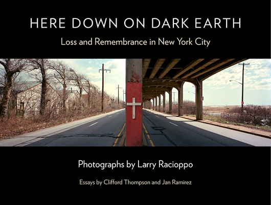 Here Down on Dark Earth: Loss and Remembrance in New York City - Larry Racioppo