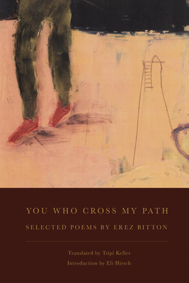 You Who Cross My Path - Erez Bitton