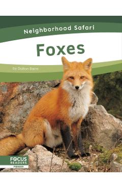 Coperta cărții 'Foxes - Dalton Rains'