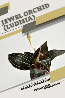 Jewel Orchid (Ludisia): Closed terrarium, Beginner's Guide - Tetiana Sabanen