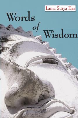 Words of Wisdom - Lama Surya Das