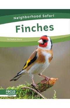 Coperta cărții 'Finches - Dalton Rains'