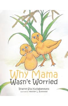 Coperta cărții 'Why Mama Wasn't Worried - Bhante Sila Kudagammana'