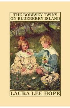 Coperta cărții 'The Bobbsey Twins on Blueberry Island - Laura Lee Hope'