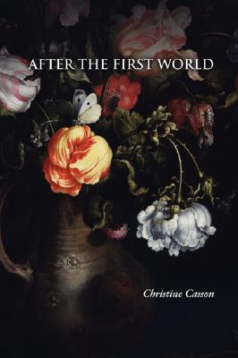 After the First World - Christine Casson