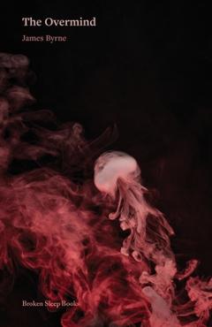 Coperta cărții 'The Overmind - James Byrne'