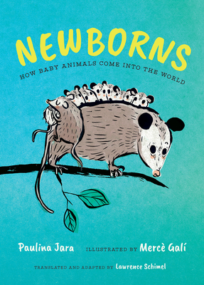 Newborns: How Baby Animals Come Into the World - Paulina Jara