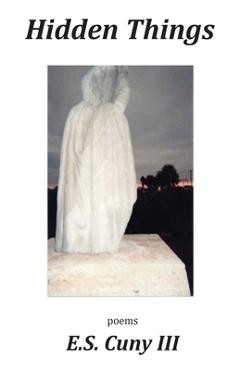 Poza produsului Hidden Things - E. S. Cuny