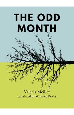 Coperta cărții 'The Odd Month - Valeria Meiller'
