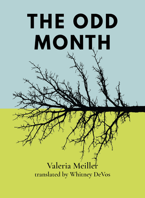 Coperta cărții 'The Odd Month - Valeria Meiller'
