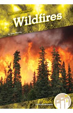Wildfires - Julie Murray