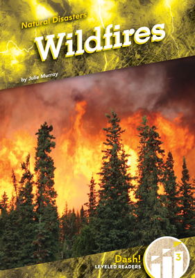 Coperta cărții 'Wildfires - Julie Murray'