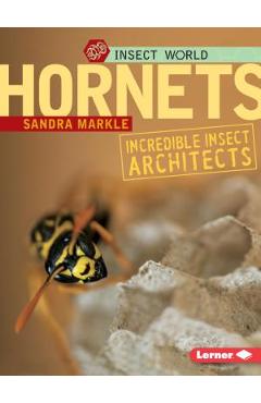 Coperta cărții 'Hornets: Incredible Insect Architects - Sandra Markle'